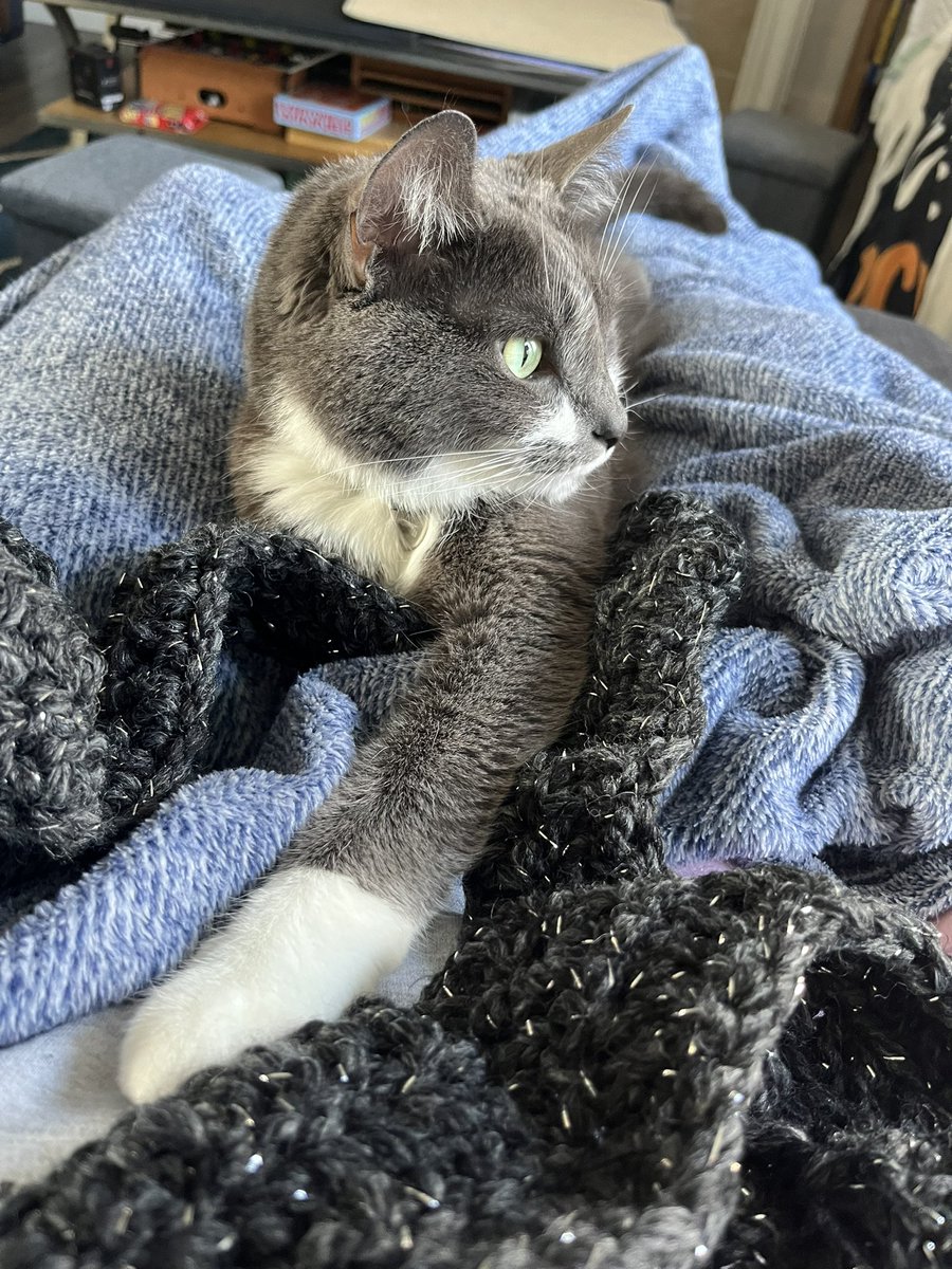 BurtyButt's tweet image. I help