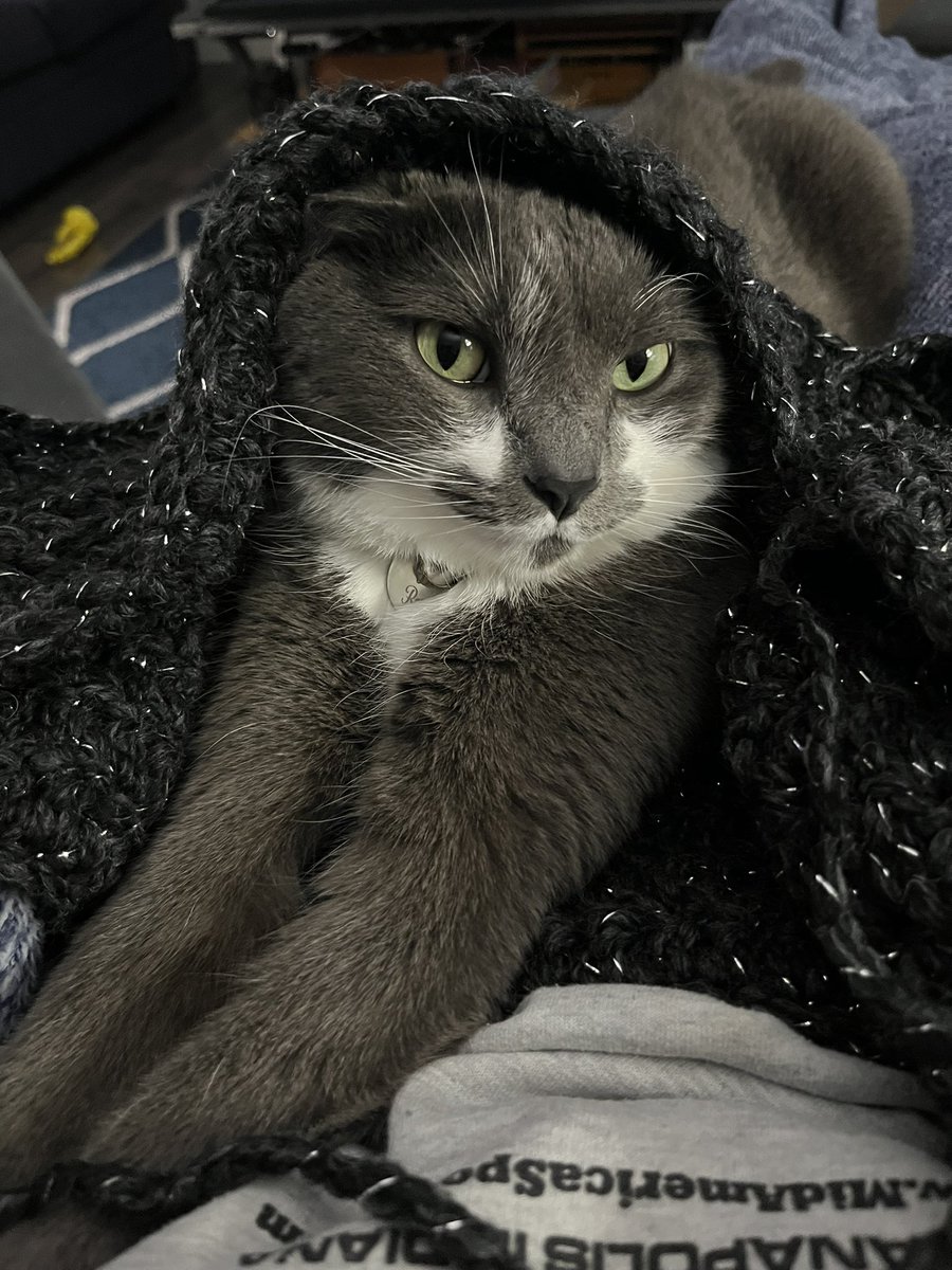 BurtyButt's tweet image. I help