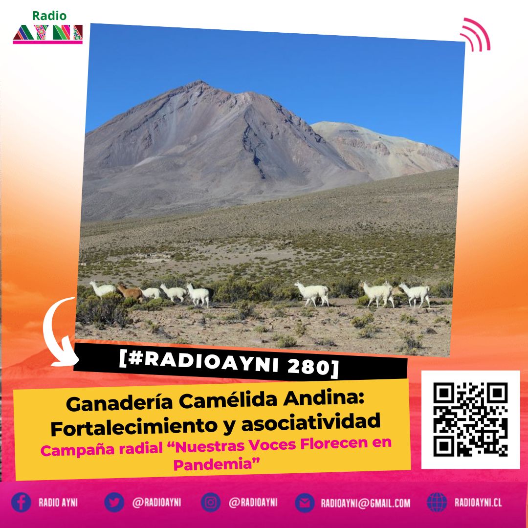 Radio AYNI tweet media