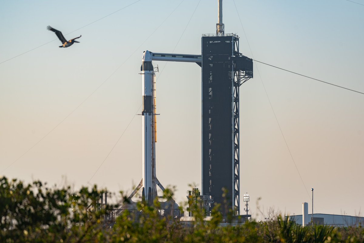 brandonjmphoto's tweet photo. 🐦…. Just under 5 hours until liftoff of the #NASA Crew6 mission to the #SpaceStation aboard a #SpaceX #Flacon9! Liftoff is set for 1:45AM on Monday, February 27th. 📷: me for @wmfeorlando https://t.co/TuoqtWDKxx