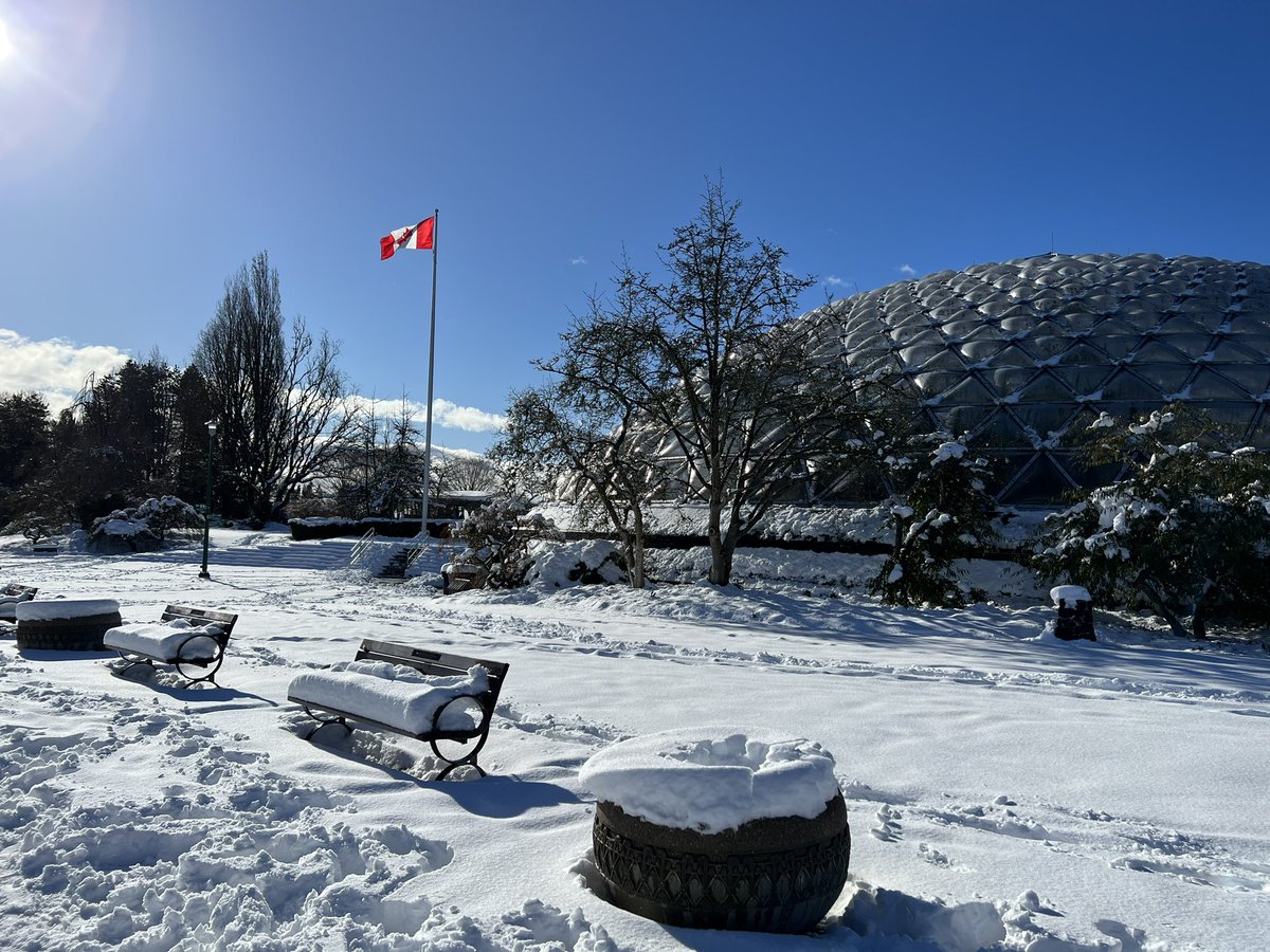 Beautiful post snowstorm day.  #snowday #yvrsnow #BCSnow #QEpark #beautifulbc #VancouverSnow
