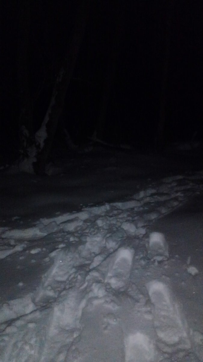 buckstop3006's tweet photo. Little after supper walk in the woods. #Snowshoing. https://t.co/J3Cc6D917M