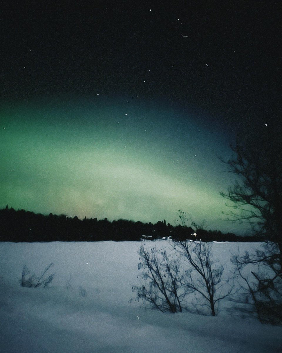 BorderlandLodge's tweet photo. We had a baby borealis tonight! As we ease into spring (and so long as the skies are clear 🤞) we should be seeing more of these ✨ in the coming month. 
.
.
.
#aurora #northernlights #auroraborealis #gunflinttrail #bwca #borderlandlodge #gunflintlake #darkskies https://t.co/SsasNf11Cx