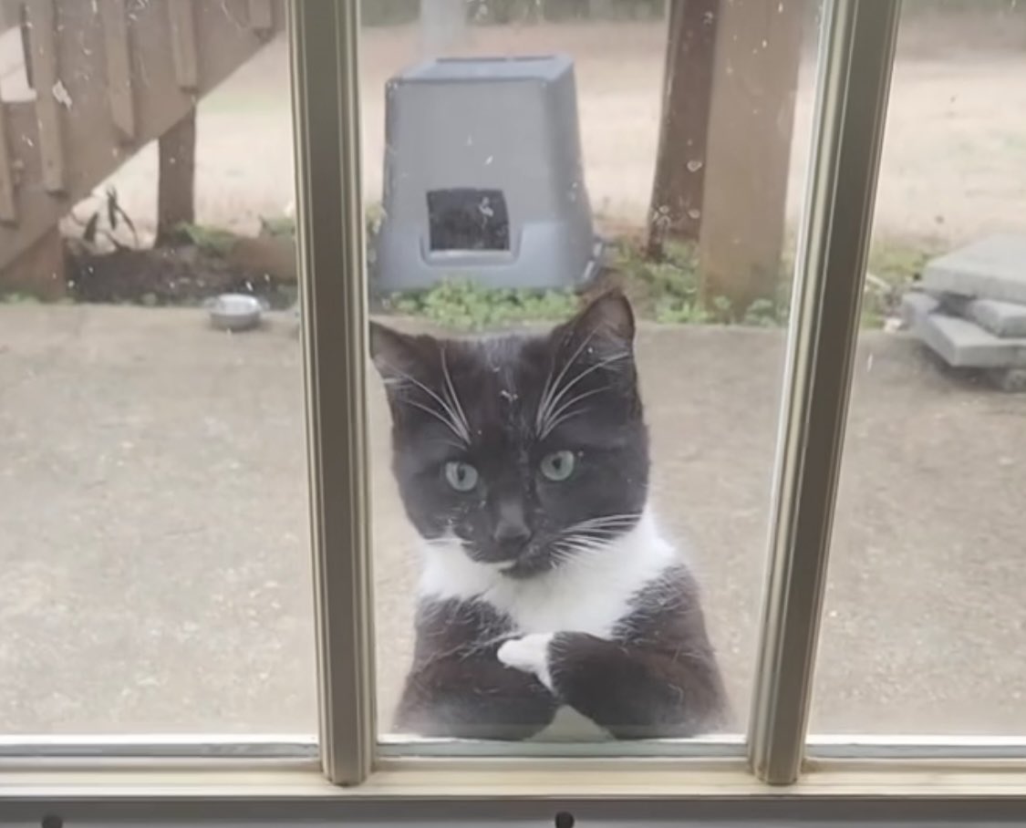 MikeSgroi21's tweet image. “Oh, you added a pitch clock. That’s cool. How about cheaper tickets now that the games are shorter?” #mlb #PitchClock