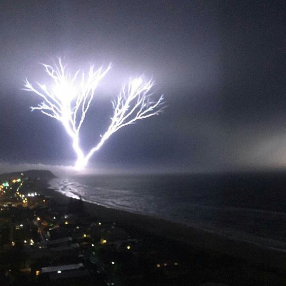 Tree of Light!
#palmbeach #goldcoast #queensland 
by Alice Robins    
#coolphoto #powerofnature