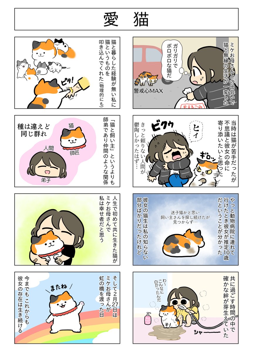 「愛猫」
(はる蔵さんの「ふうらい日和」第85回)
今週は8コマ漫画です♪
ミケお母さんの秘蔵写真や、はる蔵さんグッズの新情報はこちら⇒https://t.co/15RvfNJRkr
