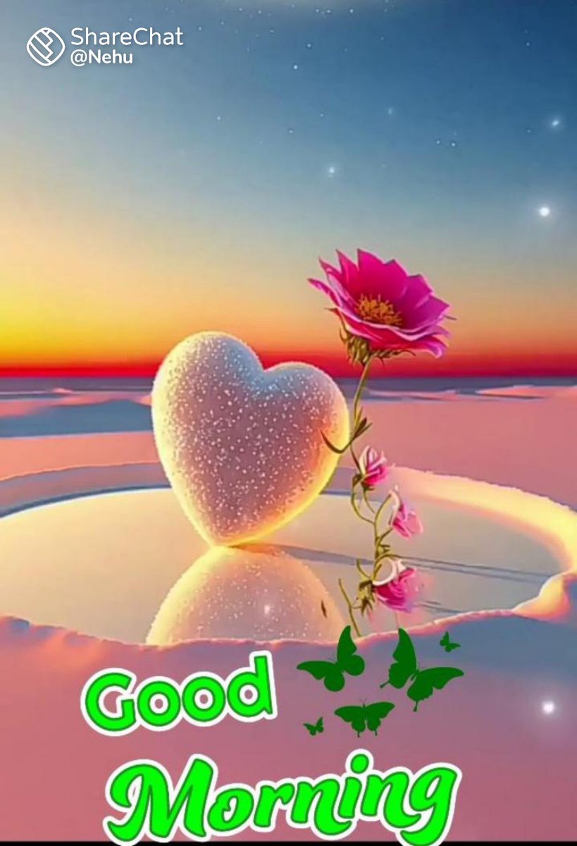 MahamadJaheed's tweet photo. https://t.co/XuzXOcGirJ