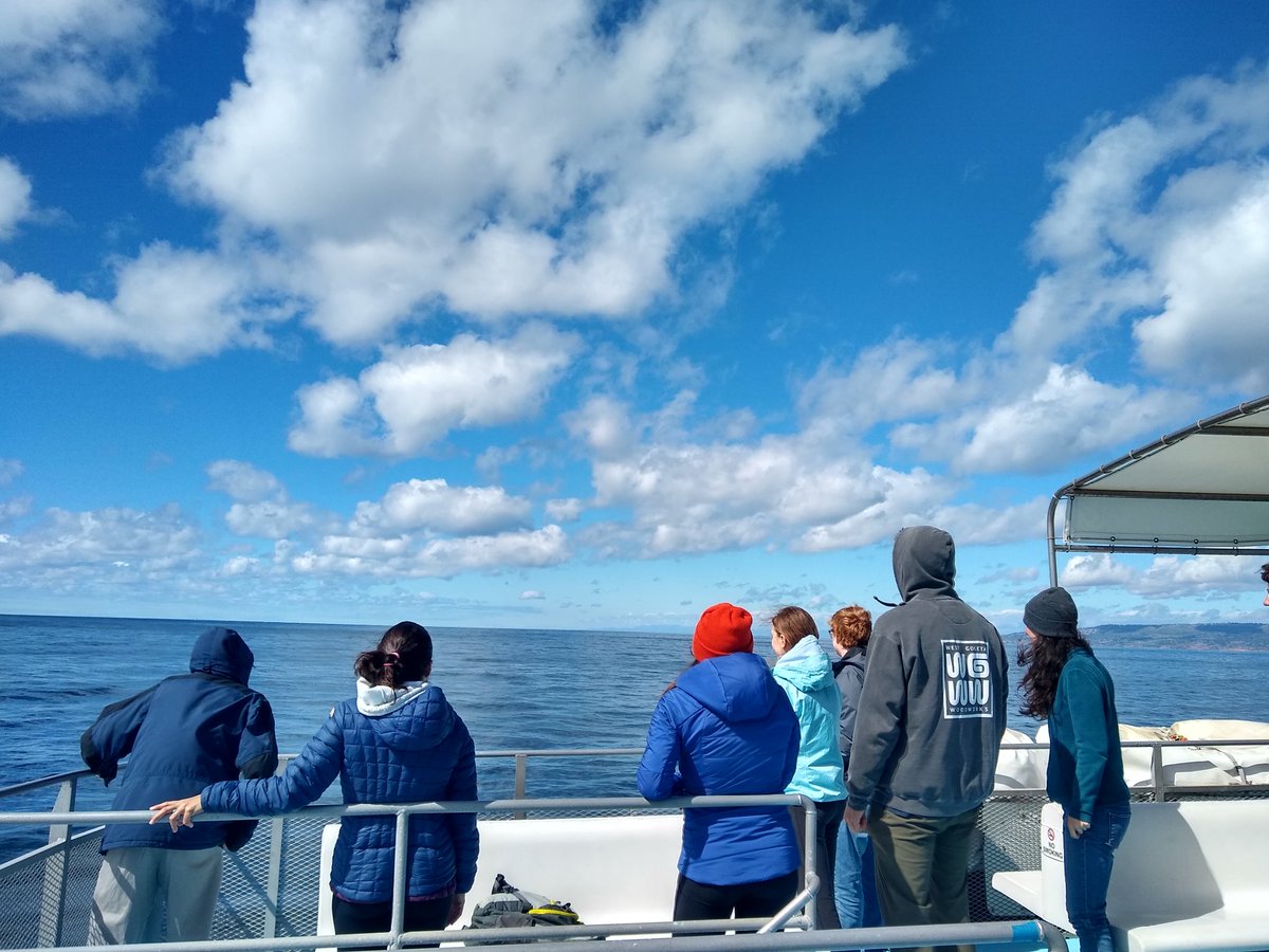 mixotrophe's tweet photo. Unable to resist the lure of charismatic megafauna, the mathematical ecologists peer over the side of the ferry for a glimpse of a whale 🐳 #WACKME https://t.co/5uUGiwH14T