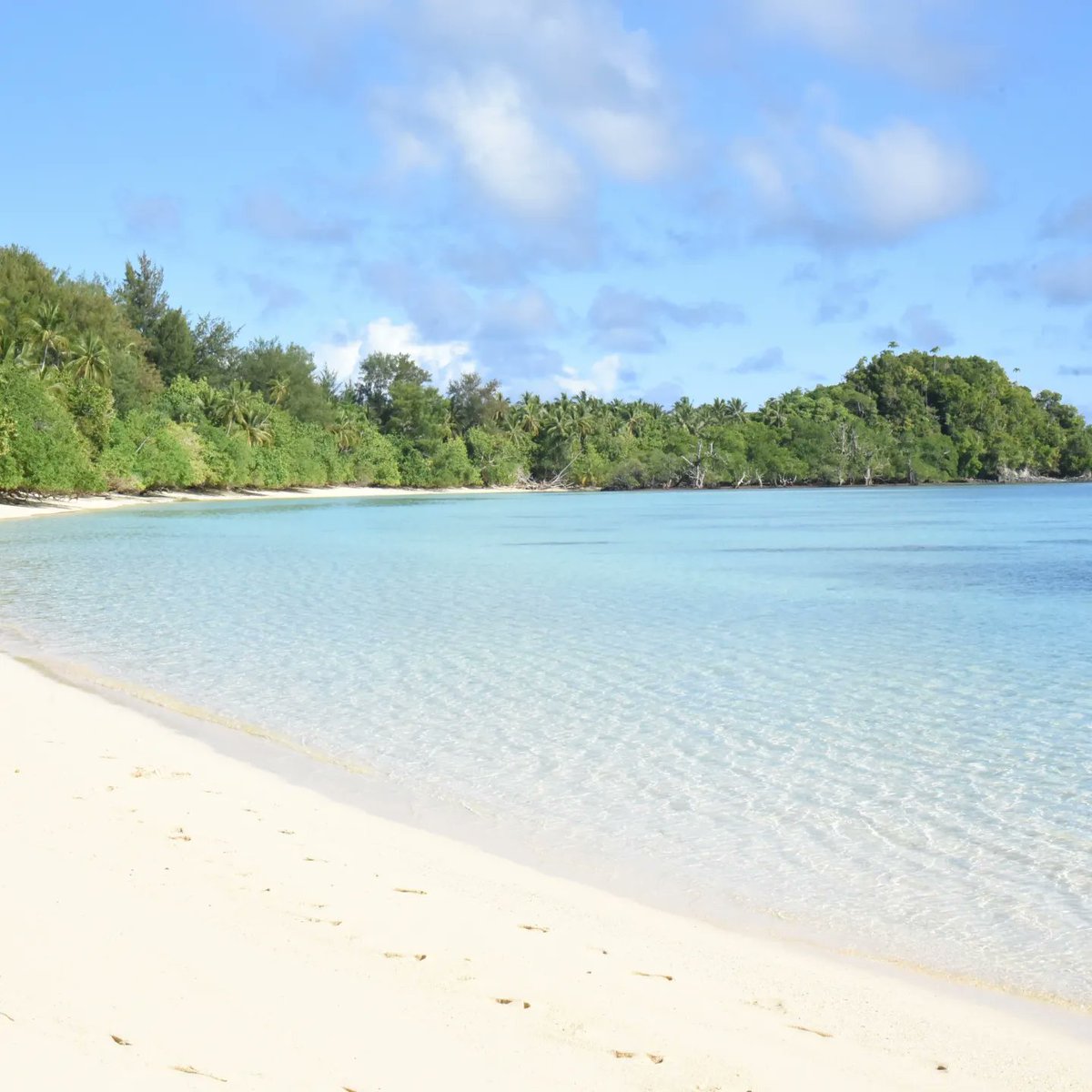 Visit Solomon Island tweet media