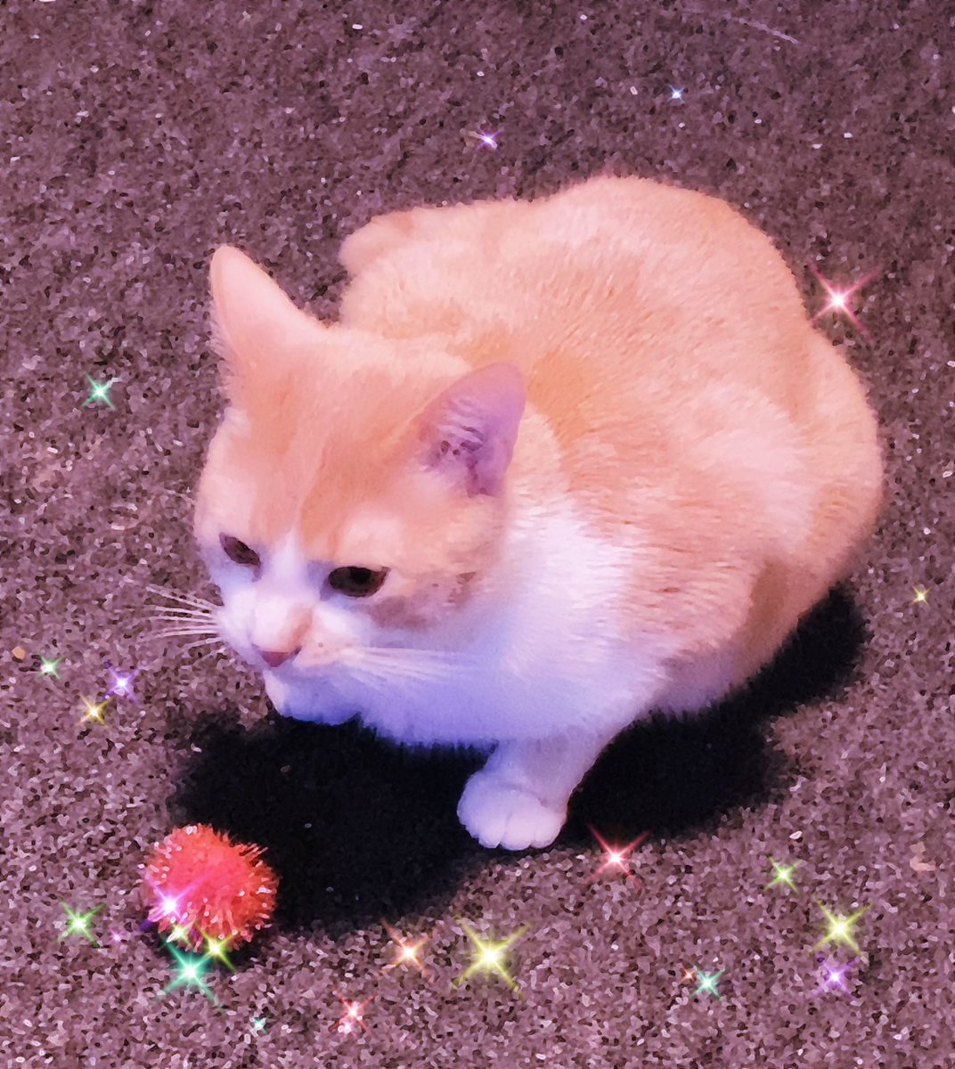 EmilyIsBlind's tweet image. Thoughts