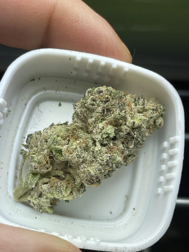 MMJFarmer's tweet photo. Outstanding Medicine! #KushMintz #mmj  
https://t.co/hIYzGk3ZCS https://t.co/7gZVBx5SDG