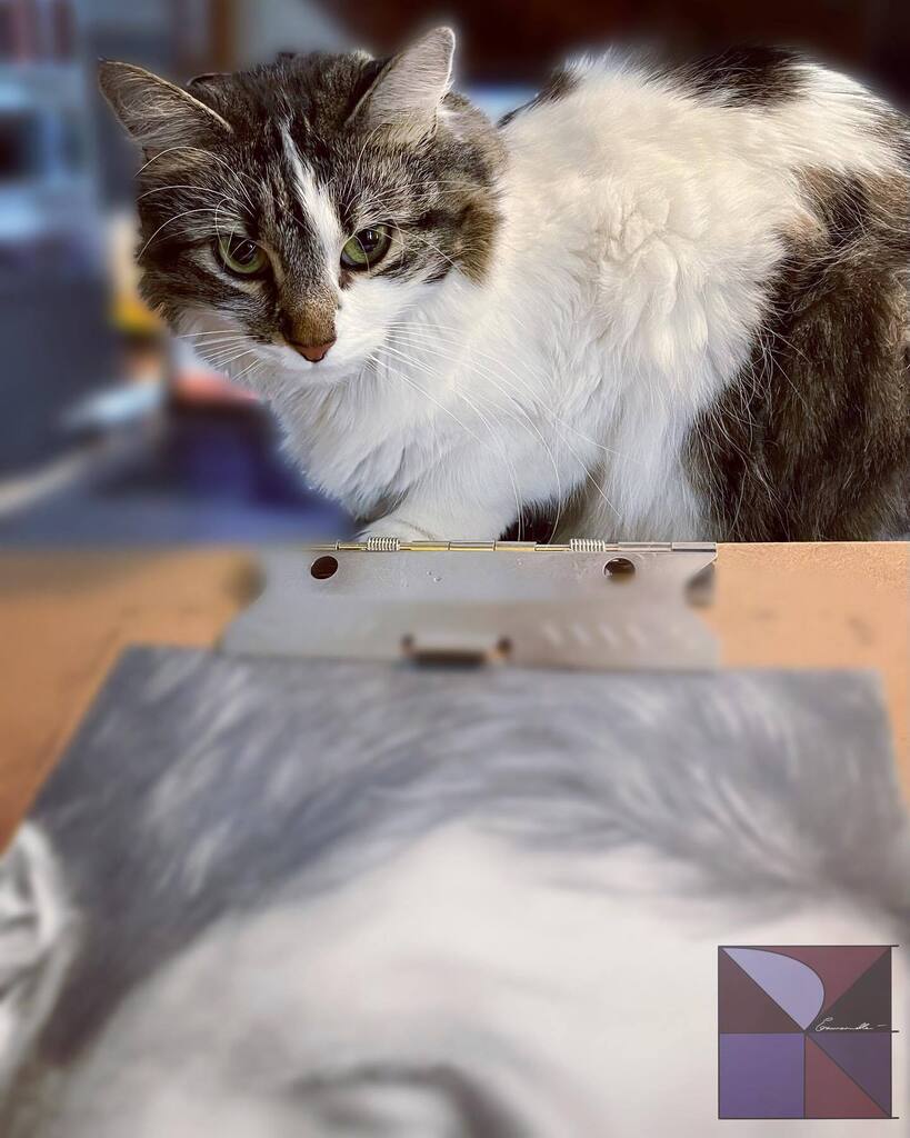OriginalEmmArt's tweet photo. Sunday is art day! Working on a commission under the watchful eye of my fuzzy familiar 😻
#art #artist #artday #commission #portrait #graphite #drawing #instart #instartist #catmom #fuzzykitty #lyra #originalart #originaldrawing #originalemmart https://t.co/Ogo4OYOIUW https://t.co/ibr2gcfGaG