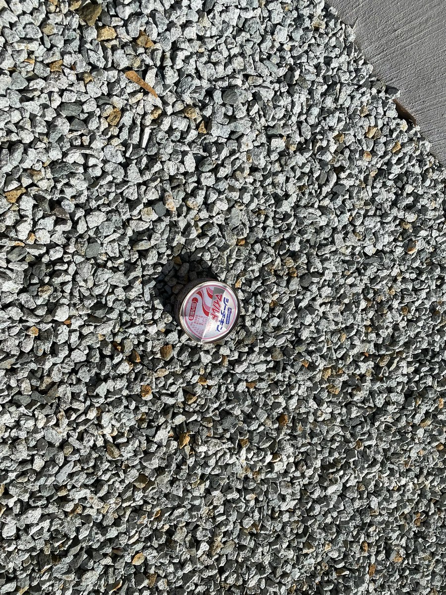 0201zunda's tweet photo. うちの地域、毎週月曜日は缶、瓶のゴミの日。毎週どこかのお宅が出したシーチキンの空缶が我が家の敷地の何処かに必ずある…。我が家はカラスのお食事処となっているようで困る…😭 https://t.co/pZTE3Xlfys