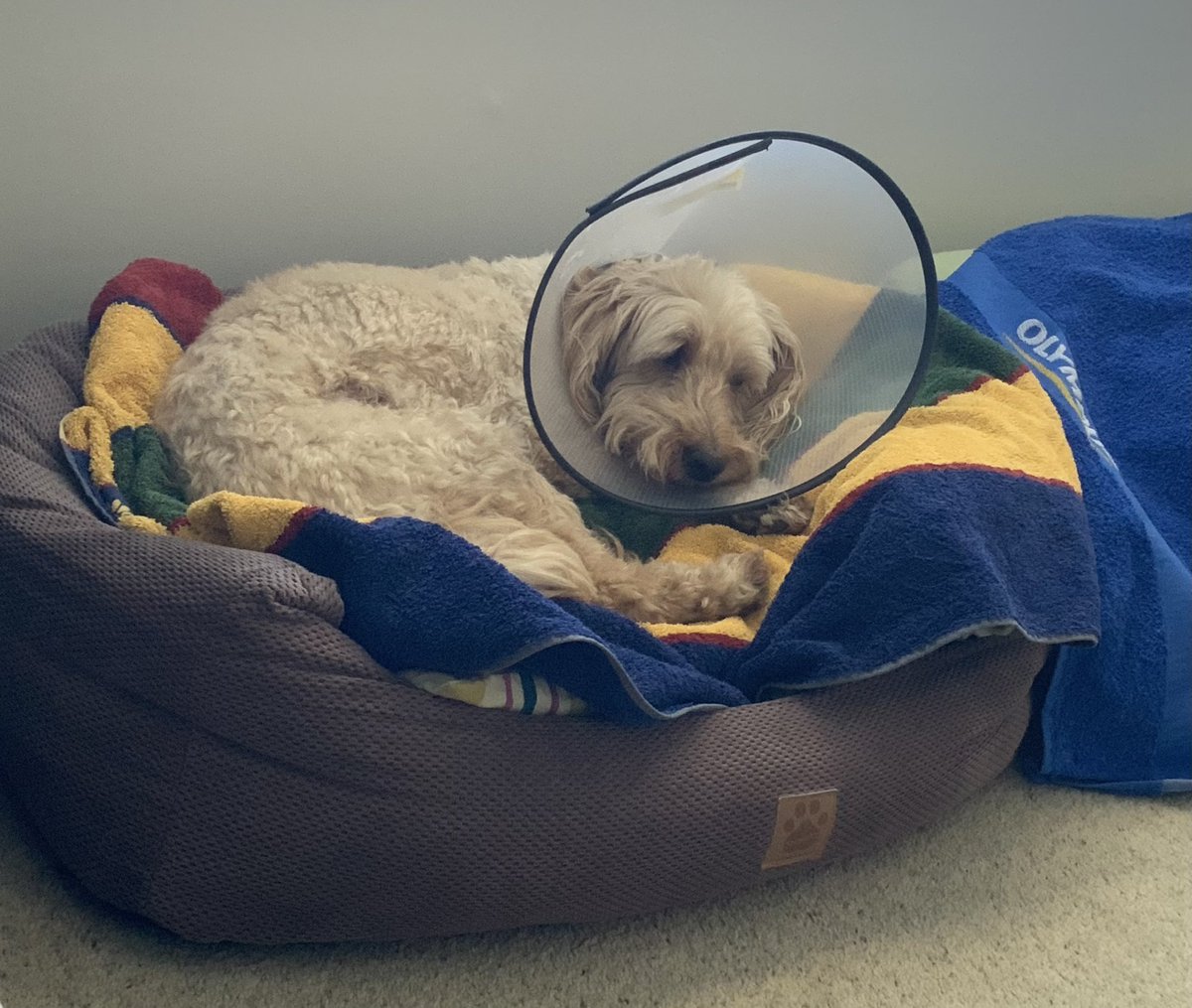 Angel Baksta tweet media