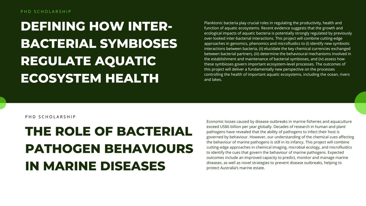 NEW SCHOLARSHIP OPPORTUNITIES!

Be a part of research that changes the world! 

🔗Algal Bioprospecting:
uts.edu.au/scholarship/de…

🔗Seaweed Hybridisation:
uts.edu.au/scholarship/ph…

🔗Marine Bacteria:
uts.edu.au/scholarship/de…

🔗Bacterial Pathogens:
uts.edu.au/scholarship/ph…