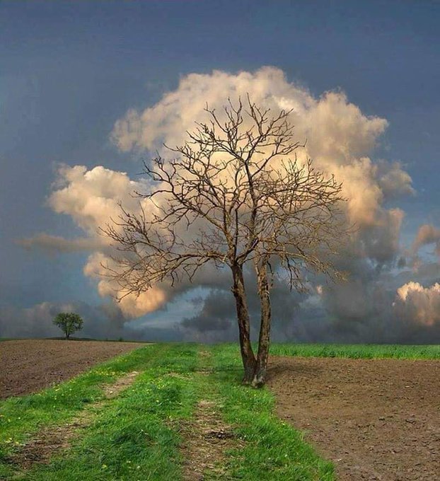 Paisajes🌴 (@enpaisaje) on Twitter photo 