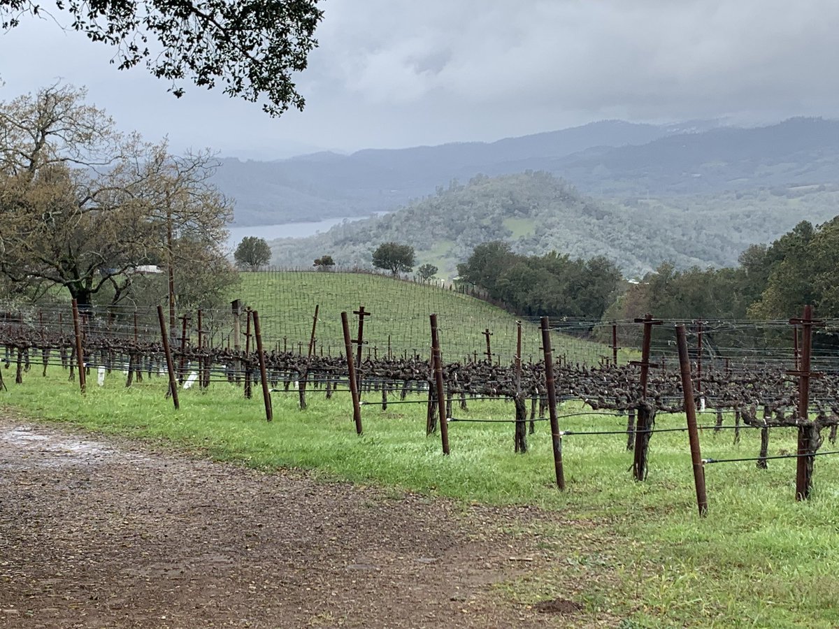BradLemons7's tweet photo. @Chappellet_wine great visit today at Chappellet!  Wines were awesome and Gabe was a great host! https://t.co/Bcl7Zz6ZQP