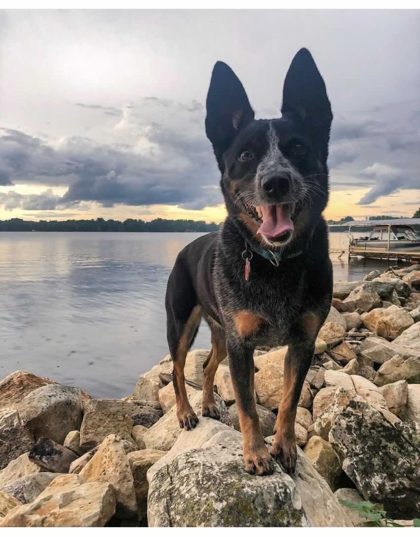 People always ask me what my favorite piece is that I’ve made, and just from a “wow I’m pretty proud of that one” standpoint, this one takes the cake