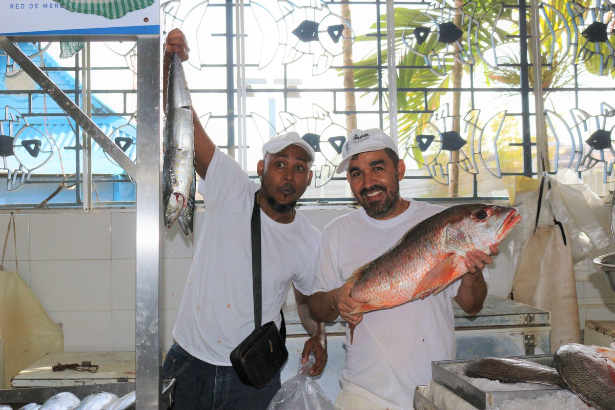 OPRI_SPF's tweet photo. Marisco de Mercados💁a fish market constructed in 1995 with support from JICA
Close to the historic district with modern restaurants and hotels, it's beloved by both locals and tourists. Loved the lively atmosphere here!🐟🐟
@jica_direct_en
#mercadodemariscos #Panama #fishmarket https://t.co/plkGKdHOls