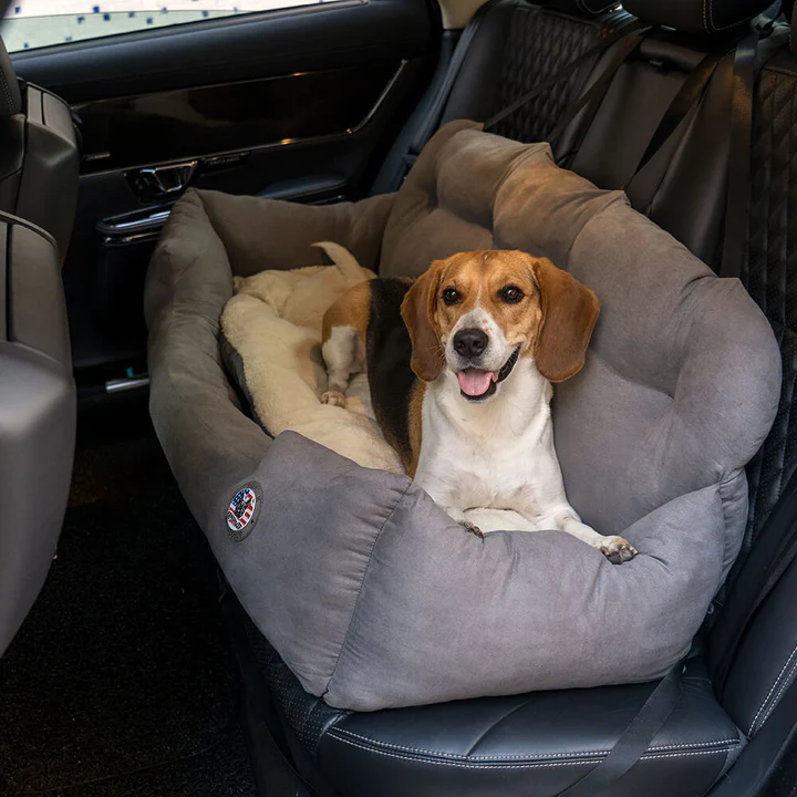 FUNNYFUZZY tweet media