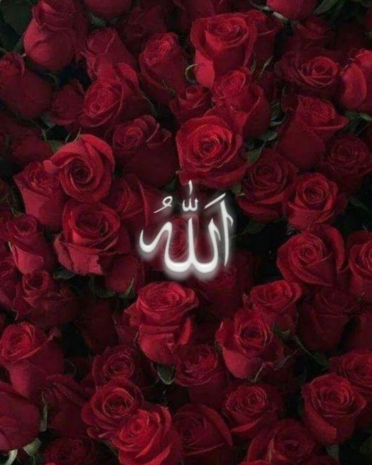 Hazel__19's tweet photo. Bu günün de sabahına uyandıran
Rabbimize sonsuz şükürler olsun

Allah'ın rahmeti bereketi hidayeti ve mağfireti, 
Peygamber Efendimizin (sav) şefaati üzerinize olsun

Günümüz hayırlı ömrümüz bereketli
Rabbimiz yar ve yardımcımız olsun

Yeni Güne BİSMİLLAH https://t.co/V4lUIFPIAl