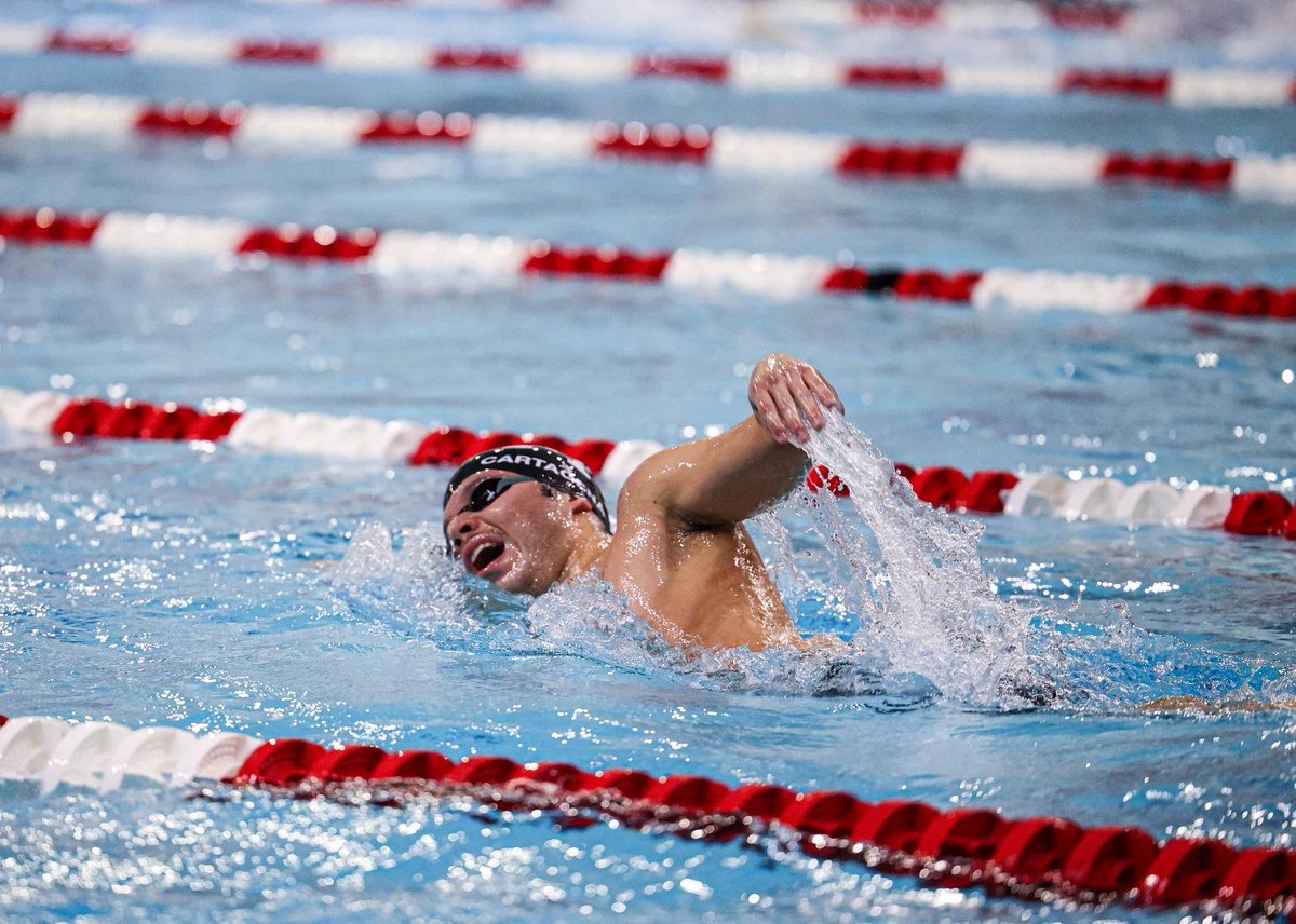 Manhattan Swimming tweet media