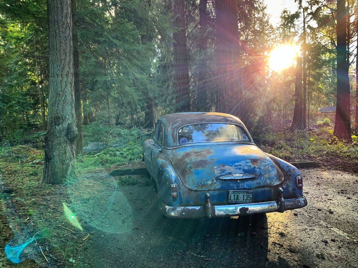 Visions of the cosmique world