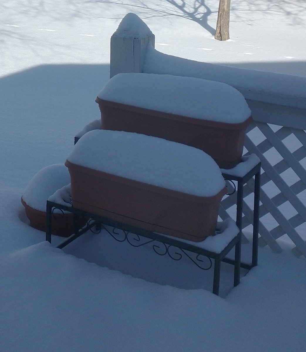 germanmathmama's tweet photo. @SingingLehrerin Meanwhile in Minnesota ... https://t.co/iKm0xUb3Zg