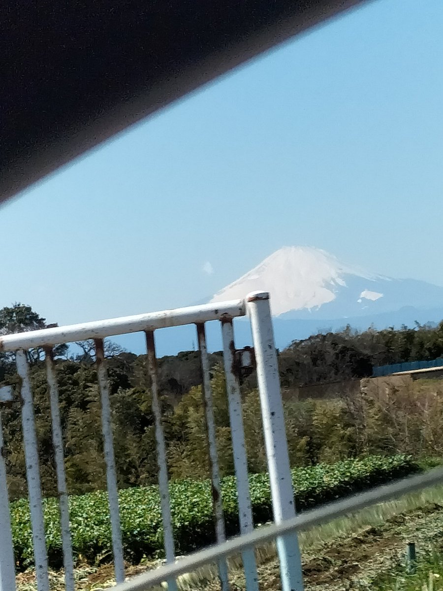 nami_iguchi's tweet photo. 昨日ロケハンをして
ロケ地が全部決まった
ぎりぎり笑
三浦漁港の　ボンバイアでカレープレート
ボンバイアのマスターは
「だれかが歌ってる」に出演してくれた秋谷さん https://t.co/7p2n7KlbAG
