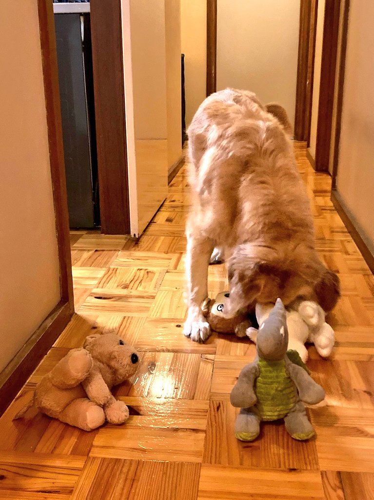 Panko is dreaming about the beach tweet media