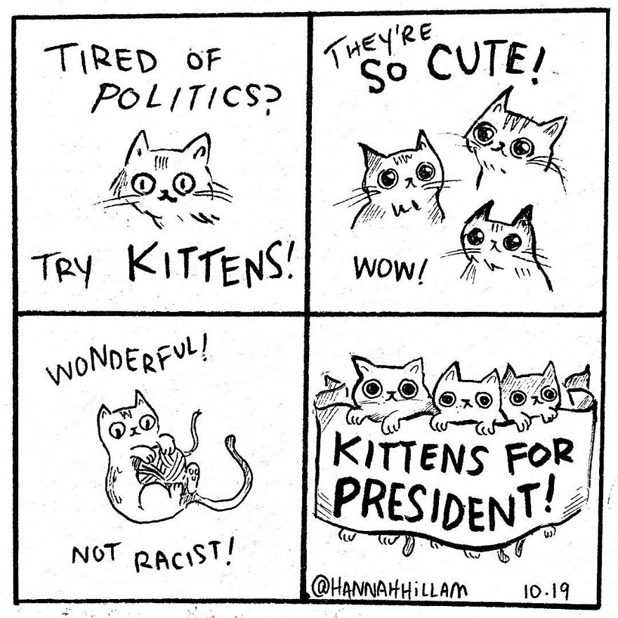HealSuffering's tweet photo. Time for a Presidential Campaign reminder 
Vote 
@CatMaster81
 for President and 
@FelixAnchor__
 for VP
#CATarmy #PAWfleet #CatBoxSunday https://t.co/aepbB98AqP