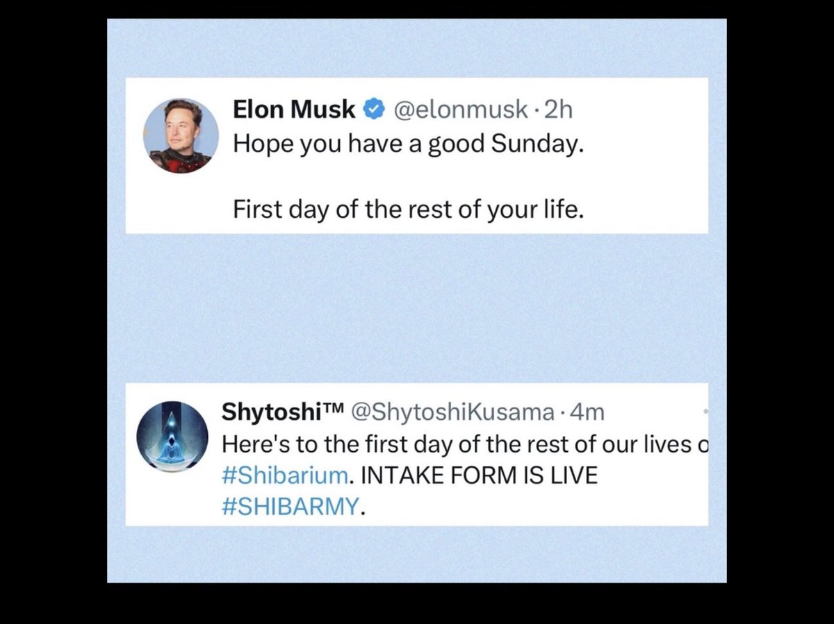 Everyone Front running <a href="/ShytoshiKusama/">Shytoshi Kusama™</a> today what’s happening ? 🤖🦾🦾 <a href="/elonmusk/">Elon Musk</a> they unfollowed you on twitter 😜