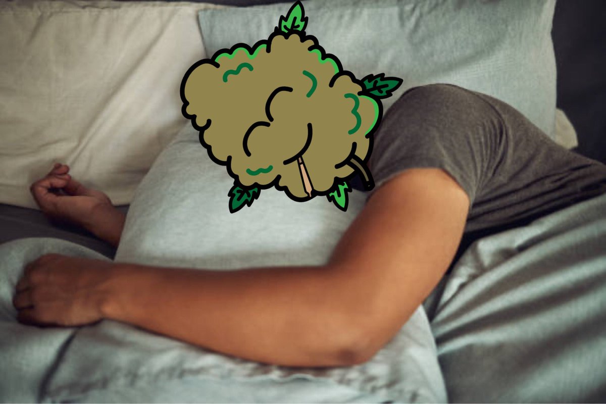 Little Lettuce Monsters tweet media