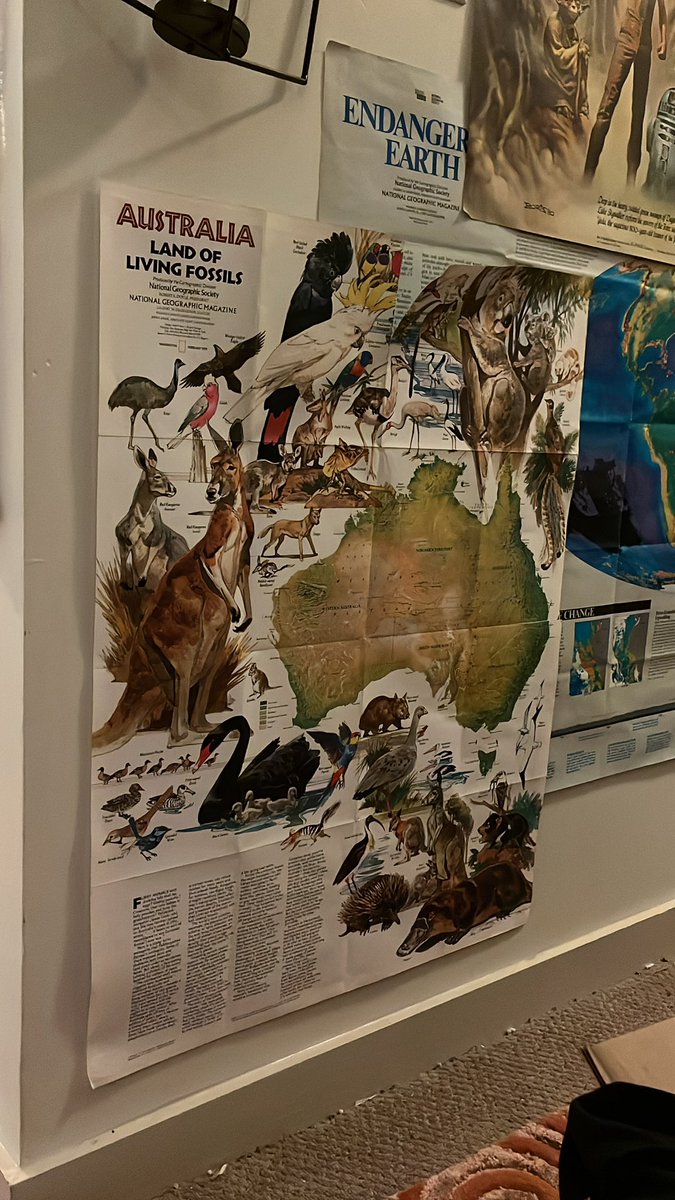 emilygreene97's tweet photo. @NatGeoMaps @NatGeoMag currently on my wall! https://t.co/uhob1AIiaA