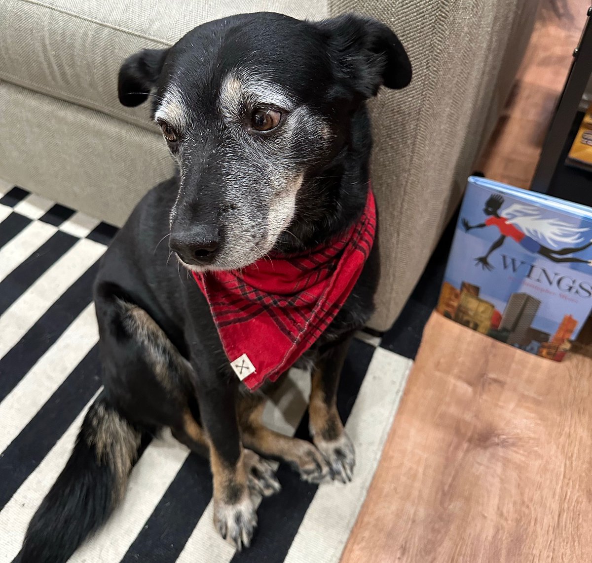 Was good to read at Possible Futures in New Haven tonight and especially good to meet my new friend Sugar