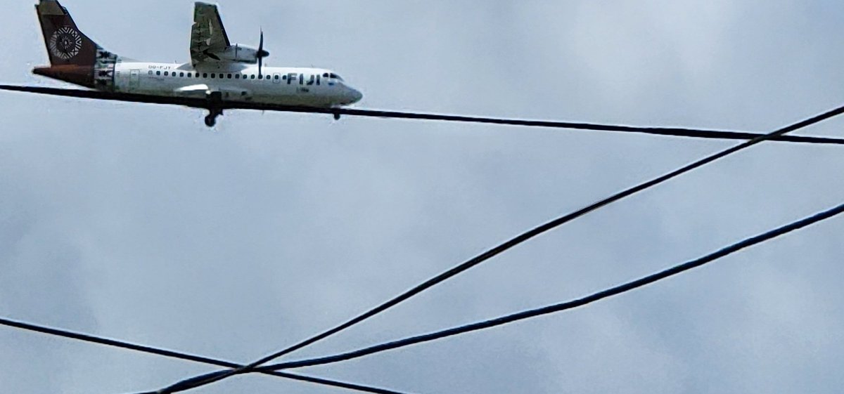 TagivetauaAna's tweet photo. Like the bird on the wire...🎶🎵🎶🎶 https://t.co/1s2U4iHLsQ