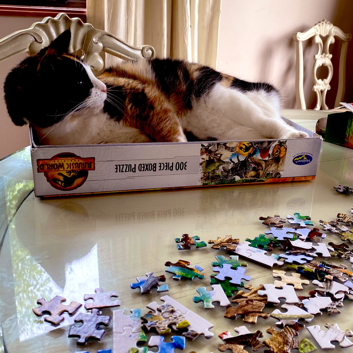 EasyWebThings's tweet image. This box is for meeee !