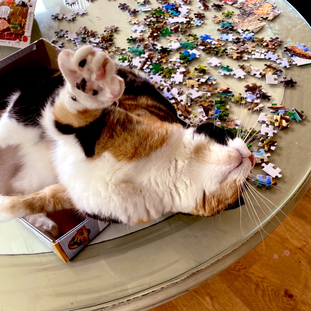 EasyWebThings's tweet image. This box is for meeee !