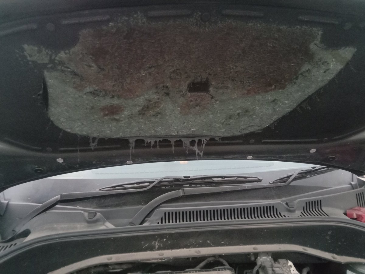 RushLane on Twitter: 