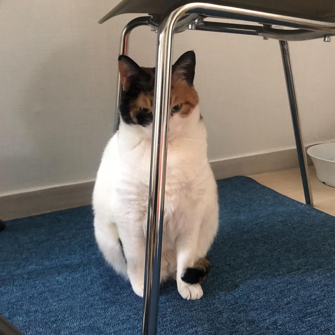 weirdlilguys's tweet image. lurking