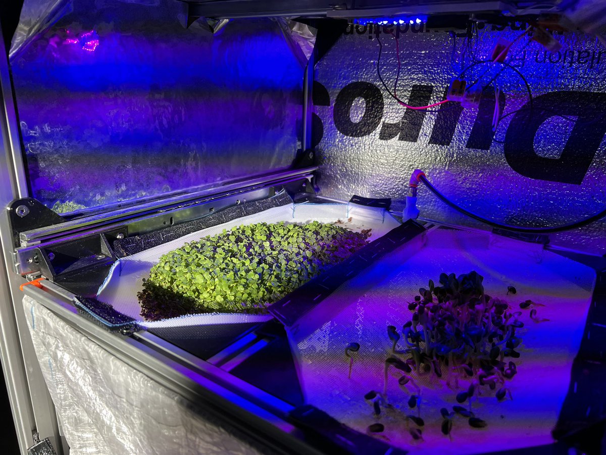 ProjectPeaPod's tweet image. Looks great! We did a batch of arugula in a custom aeroponic system this past January. Test batch was sampled for microbial and chemical analysis as part of the DSFC.

P.S. What’s the purpose of the labelling on the tray? Photography colour reference perhaps 🤔?
