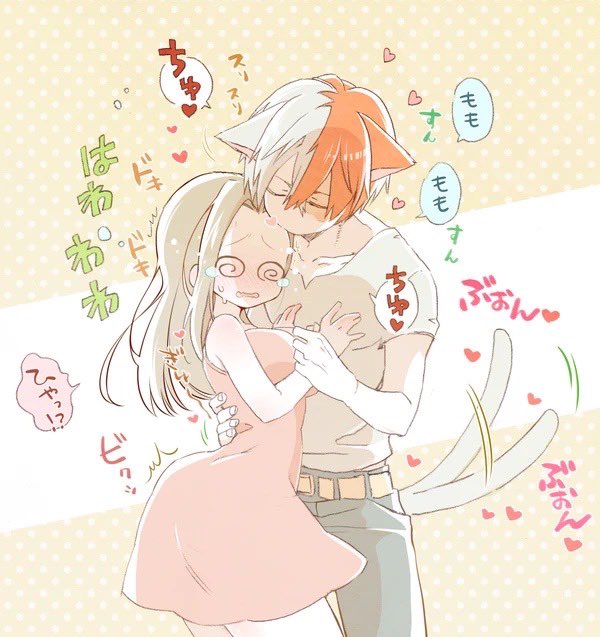 ネコロキとももちゃんシリーズ🐈(再掲)