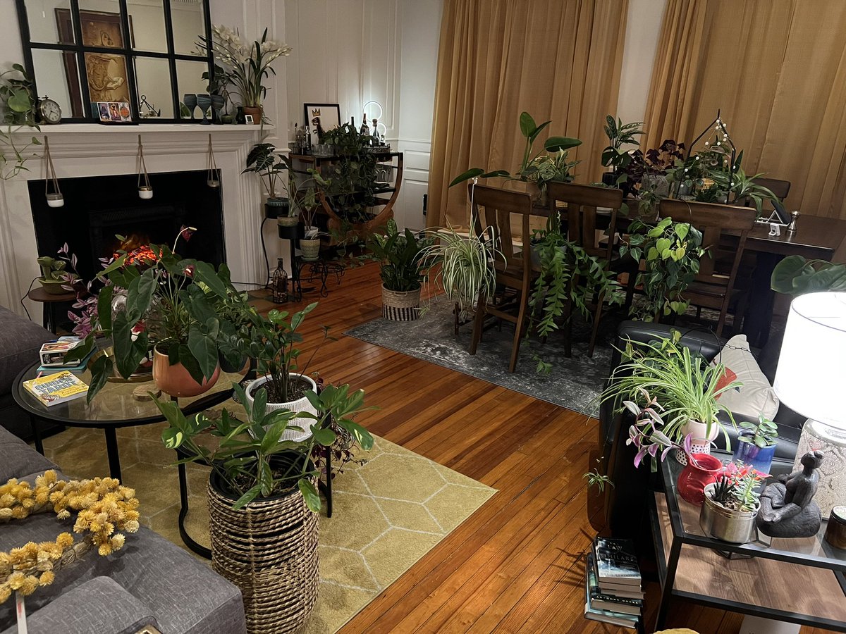 ELByrne1's tweet photo. When the heat goes out but the living room has a space heater. The whole plant fam has a reunion. (3rd one this year!) plants don’t like it below 55- my office is 45! (7.2c) They wouldn’t make it if I didn’t gather them! My bedroom is 68/20. Both heaters on all day! #coldwarning https://t.co/6iGGCECI0G