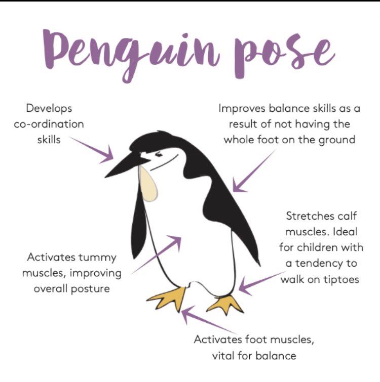 Increase your balance & co-ordination skills by being like a penguin. Try this at home, & if you’re feeling brave post a video & tag us. We’d love to see your best penguin attempts 🤩🐧 #childdevelopment #kidsyoga #tattybumpkin #improvebalance