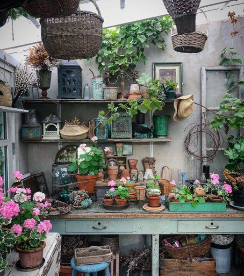 Urban Plant Home tweet media
