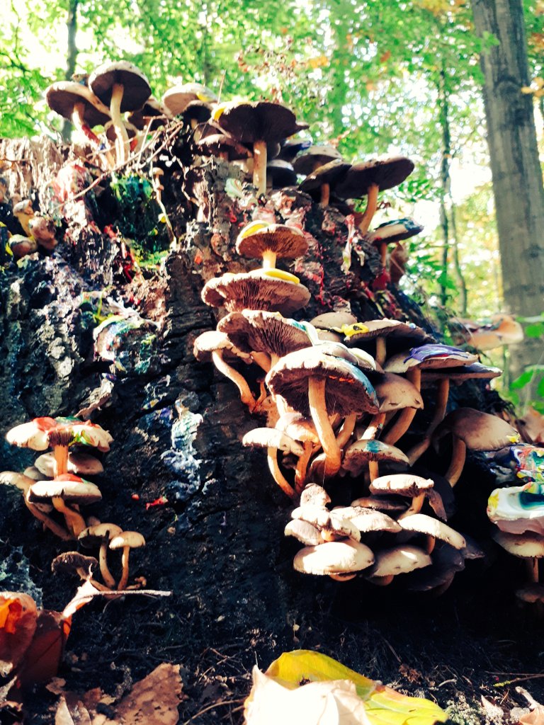 ErlinArts's tweet photo. My -Cinque Terre- made in the forest https://t.co/BoPvu5mGWO