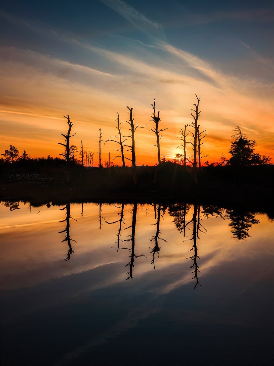Hi all! 👋🏽
The theme for the #SiKPhotoChallenge was #Silhouettes.  Let’s see what ya got!
Mine is a #drone shot from #Lewes #Delaware. I’d normally bring these shadows up, but I kept them dark this time, to focus on the #trees silhouettes.

Next Monday’s Challenge: #LeadingLines