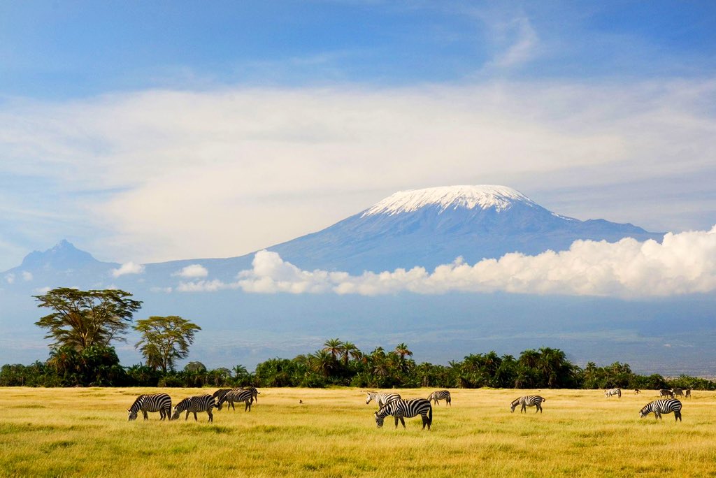 Jeanne Miau on Twitter "Culminant à 5895 mètres, le Kilimandjaro est