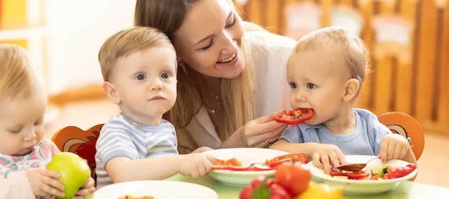 Programme für die Kita - Angebote zur Ernährungsbildung: Eine bundesweite Auswahl empfehlenswerter Projekte und Initiativen haben wir hier für Sie zusammengestellt ➡️ buff.ly/3YUI4Jo #Kita #Ernährungsbildung