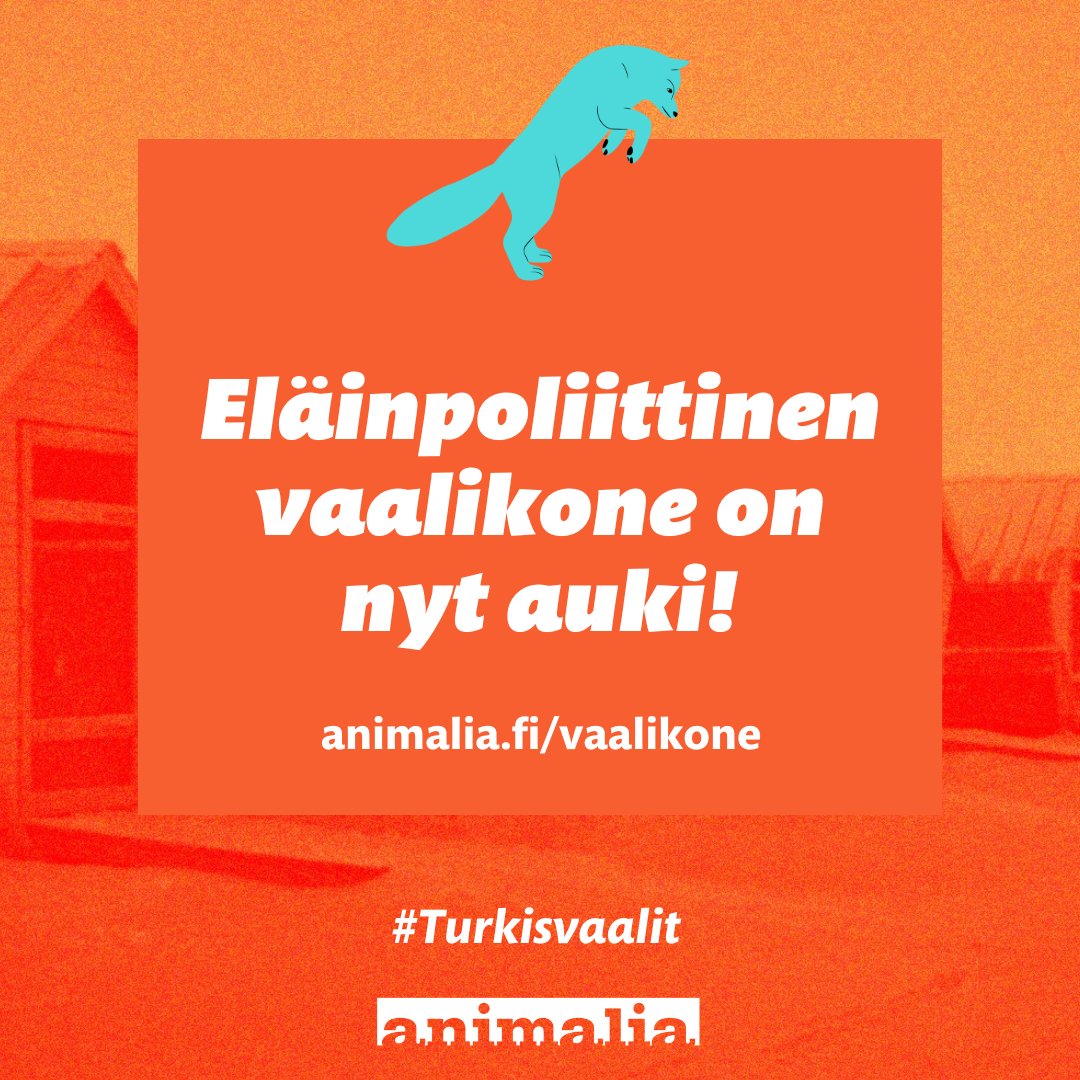 Eläinpoliittinen vaalikone on nyt auki äänestäjille! Löydät sen osoitteesta animalia.fi/vaalikone. Vaalikoneesta löydät ehdokkaat, jotka lupaavat pitää eläinten puolia eduskuntatyössään.